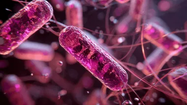 Зображення ZME Science