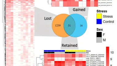Зображення Phys