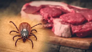 Зображення Watts Up With That？