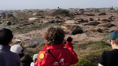 Зображення Yahoo