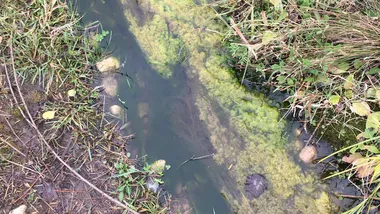 Зображення Phys