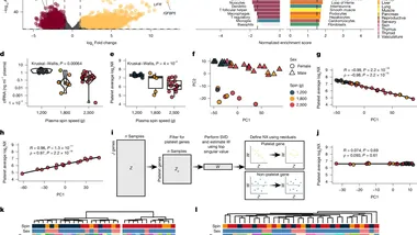 Зображення Phys