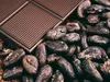 Вчені розкрили секрет ідеального смаку шоколаду