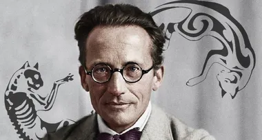 Кіт Шредінгера