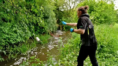 Зображення BBC