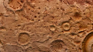 Ілюстративне зображення Freepik