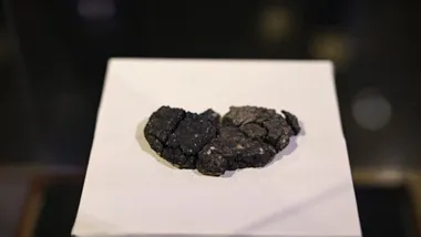 Зображення ZME Science