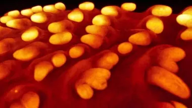 Зображення The Daily Galaxy