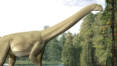 Зображення NYT