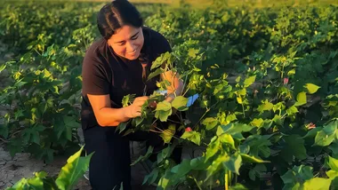 Зображення Phys