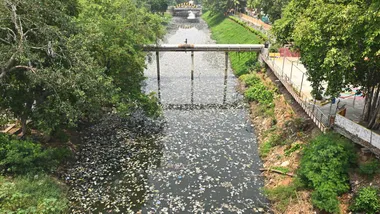 Зображення thehindu.com