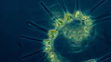 Зображення Phys