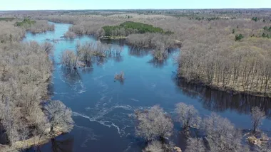 Зображення NYT
