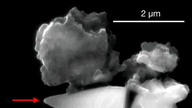 Зображення Phys