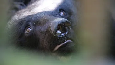 Зображення Phys