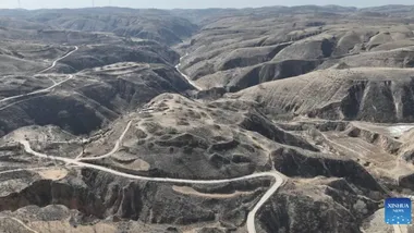 Зображення ZME Science