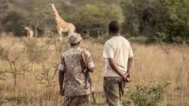 Зображення ZME Science