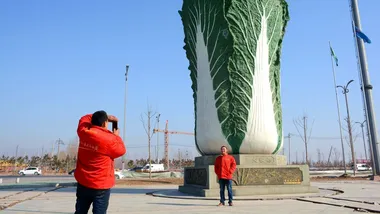 Зображення New Scientist