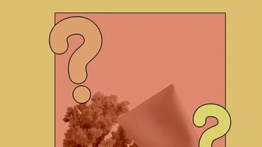 Зображення NYT