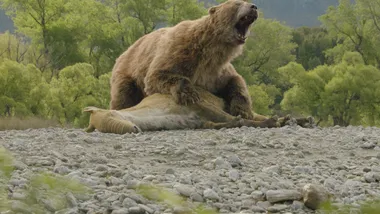 Зображення Phys