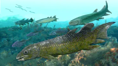 Зображення Sci.News