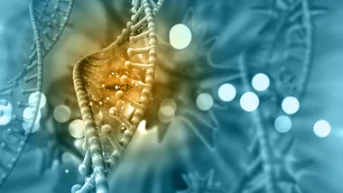 Ілюстративне зображення Freepik