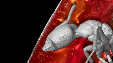 Зображення ZME Science