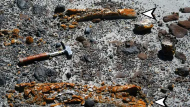 Зображення Sci.News