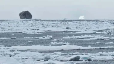 Зображення ZME Science