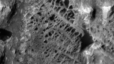 Зображення The Daily Galaxy