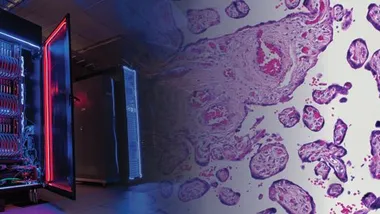 Зображення NSF