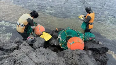 Зображення TS