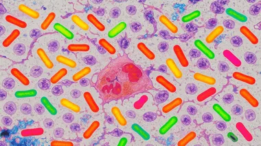 Зображення ZME Science