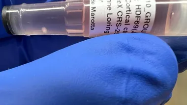 Зображення latimes.com