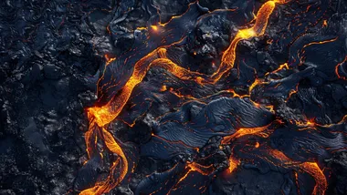 Ілюстративне зображення Freepik