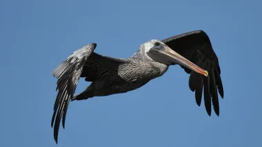 Ілюстративне зображення Pixabay/CC0 Public Domain