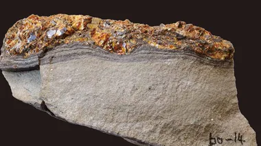 Зображення ZME Science