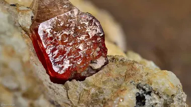 Зображення ZME Science