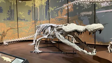 Зображення phys.org