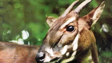 Зображення ScienceBlog