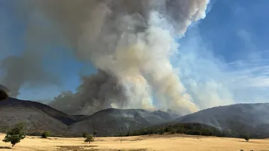 Зображення Phys