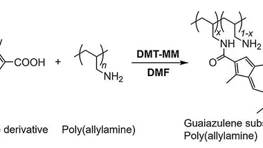Зображення Phys