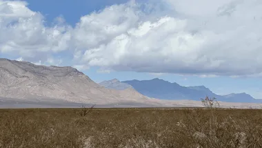 Зображення ZME Science