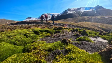 Зображення SciTechDaily