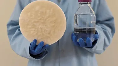 Фото The University of Texas at Austin