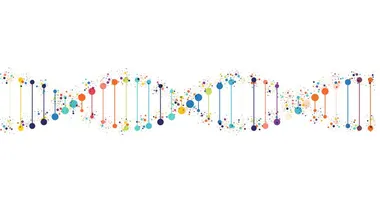 Зображення TS