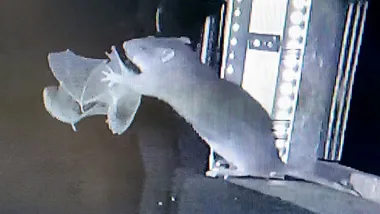 Зображення Science News