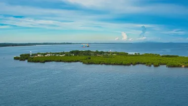 Зображення ZME Science