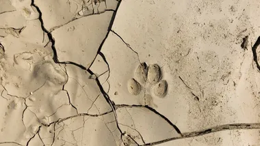 Зображення Yahoo