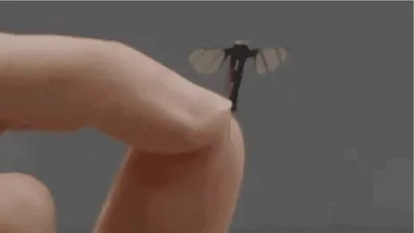 Зображення ZME Science